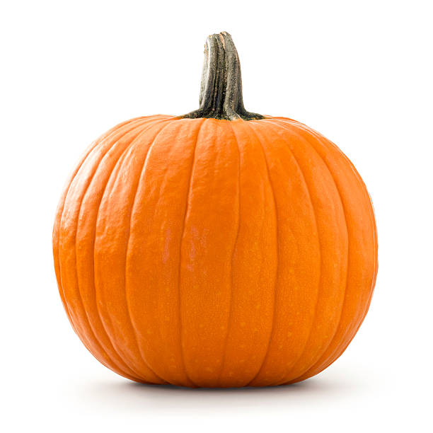 Large Pumpkins